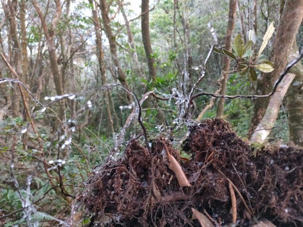 雪季北得拉曼2956376