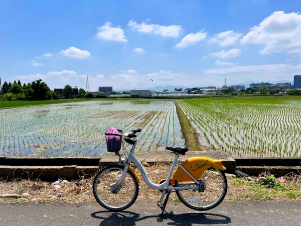 霄裡好風光，運動樂悠遊！2854811