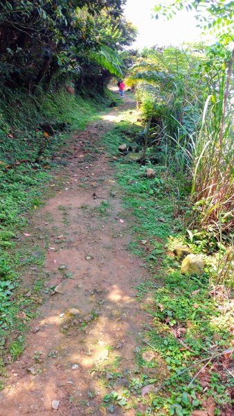 黑肉坪至本山地質公園910023