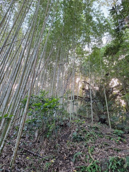 五峰鬼澤山202409292608884