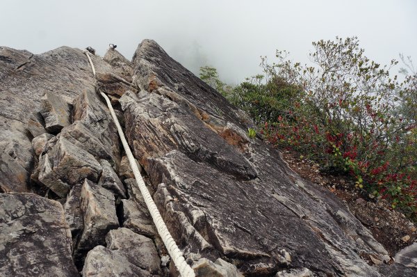台中和平鳶嘴山600715