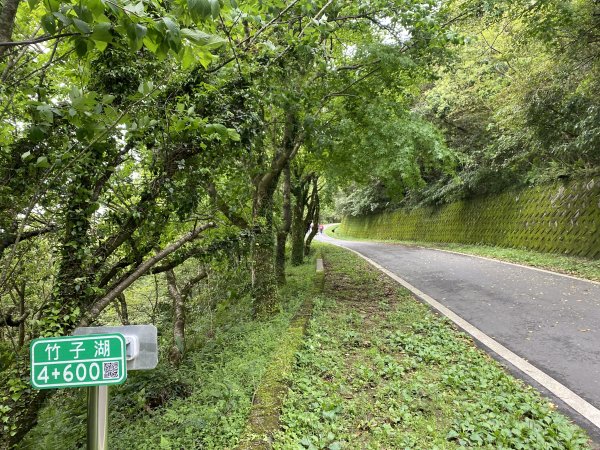 《走進竹子湖的清晨｜慢跑+美食＋泡湯享悠閒》2852693