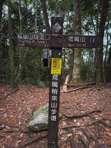 鳶嘴山上的瘦稜2983866