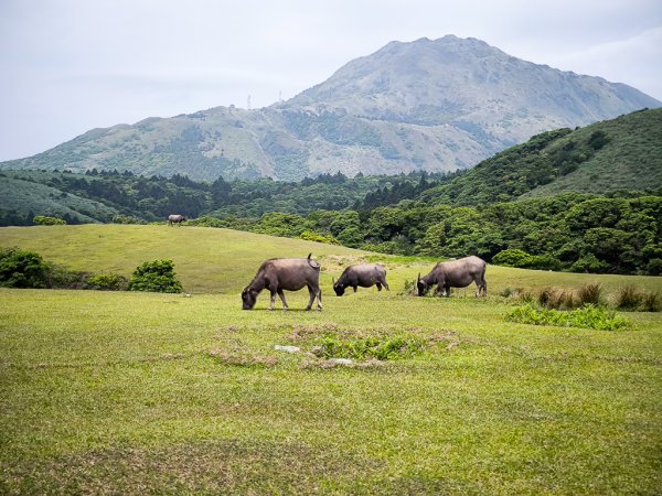 2025-05-03 磺嘴山、翠翠谷2781692