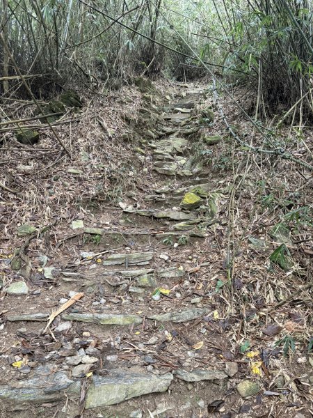 20251227尾寮山登山步道2970510