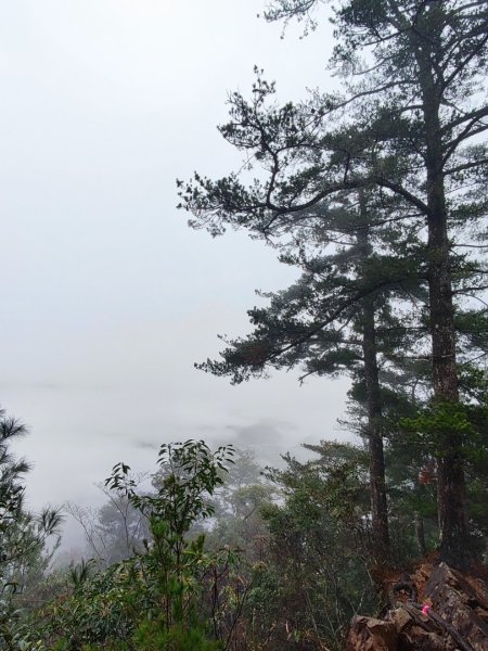 谷關老八阿冷山2699792