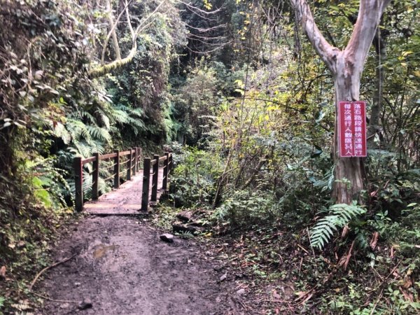 霞喀羅古道 布奴加里山 501922