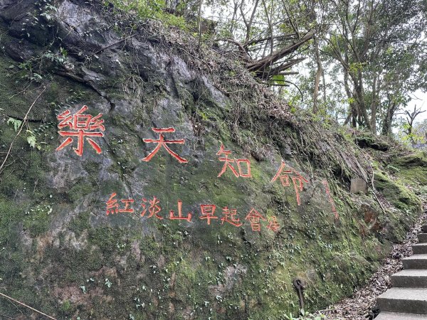 紅淡山步道&槓子寮山 / 小百岳No4&7/基隆2045293