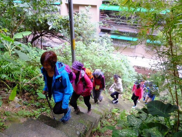 小山美學：新店小獅山步道886789