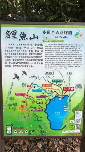 花東三日七座小百岳外加池上風情20260411-04133035745