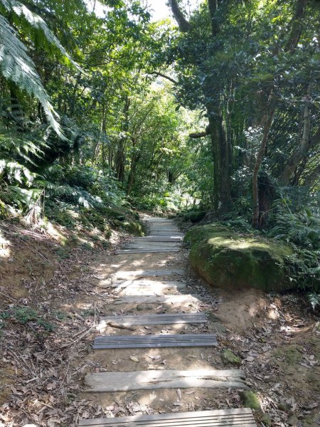 銀河洞順登鵝角格山&三玄宮山728630