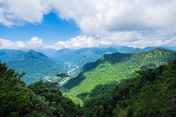 白毛山3085423