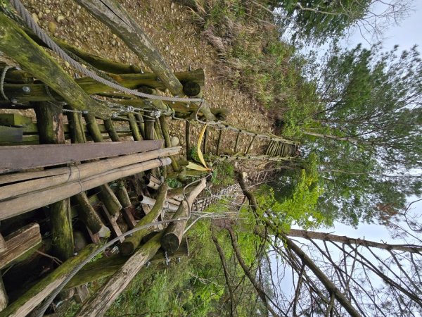 台中大坑4號登山步道2751107