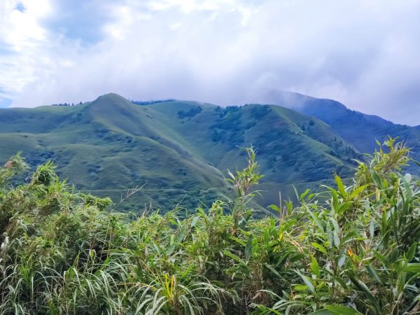 環七星山人車分道步道-百拉卡公路入口至冷水坑段 - 走遍陽明山尋寶任務2255052