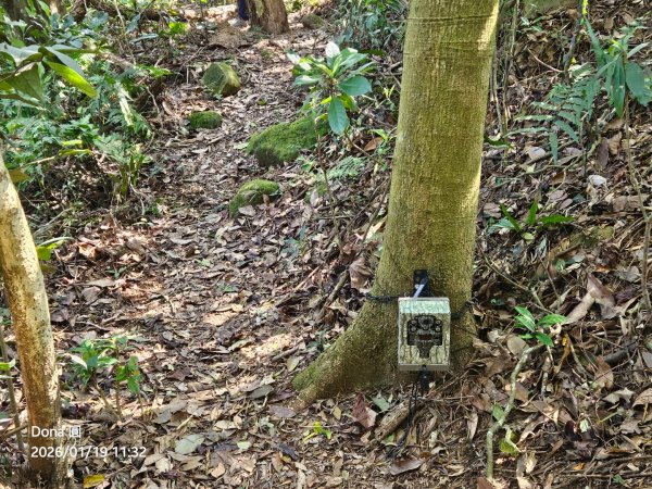 20260119飛沙縱走東段加碼9連峰大O走2988931