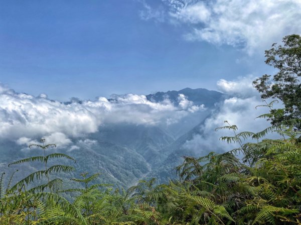 水雲三星 鳳山-鳥嘴山（上島山）1648047