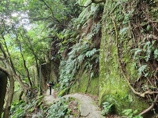 20251109四獸山步道2961732