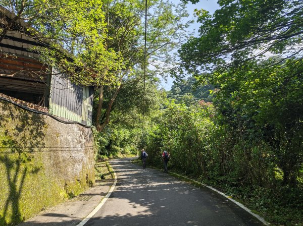 [淡蘭古道] 2026_0502 北路第一段_燦光寮古道3047534