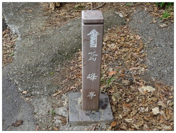 三峽/鳶山彩壁(小百岳)787868