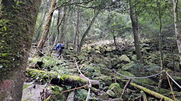 小百岳#39_鳶嘴稍來︳大象出沒1150195