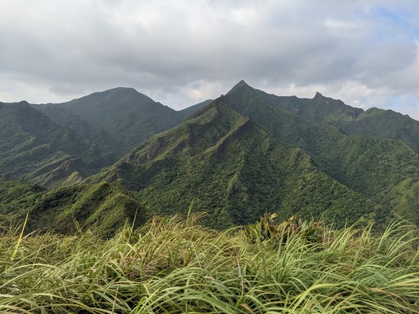 劍龍稜無耳茶壺山1468073