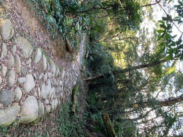 打鐵寮古道—舊百吉隧道1578999