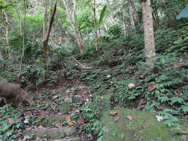 2023.12.14 土城天上山2827286