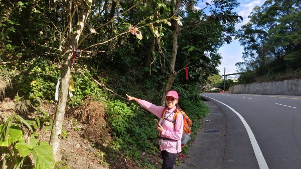 (姨婆趴趴走)第四十五集:新竹竹東三山（新具庄山、樹杞林山、員崠子山）環狀縱走2662239