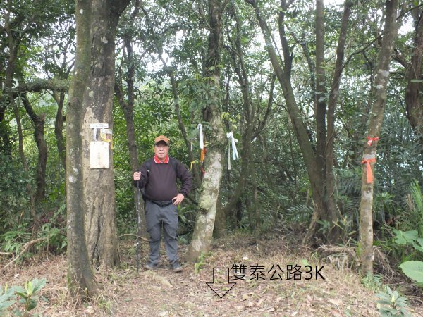 百二階古道+苕谷瀑布+逸仙山+泰和樓2734457