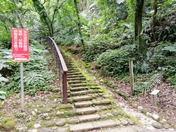 新竹峨眉~步道悠閒走。六寮古道1103287