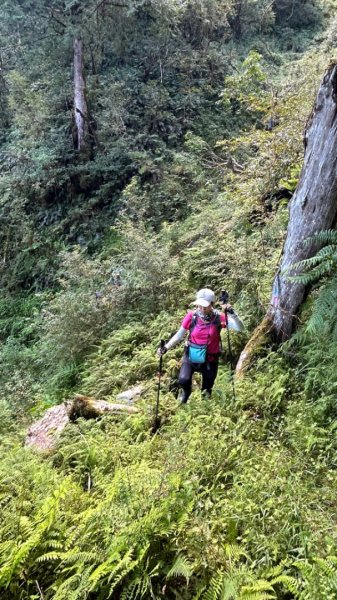 太平山運材軌道見晴線2588832