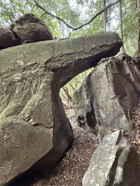 大坪祕境的奇岩2672551