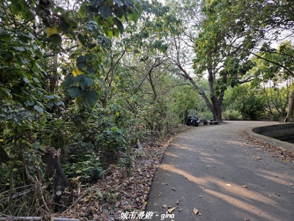 【台中烏日】知高圳步道x雪蓮步道x學田山3027116