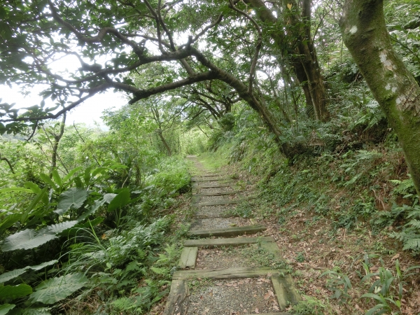 四腳亭砲台．三坑子步道97521