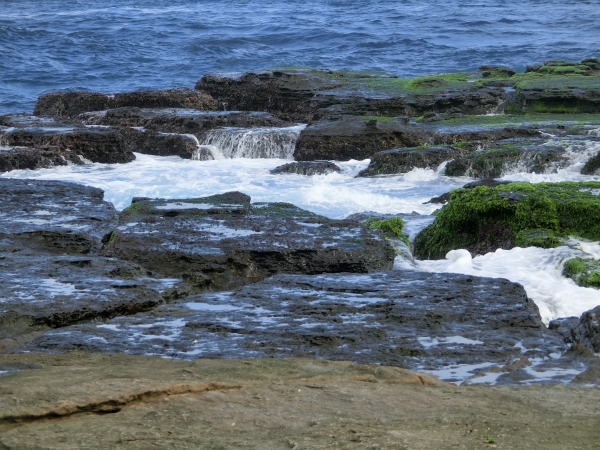 鼻頭角步道．地質公園91441