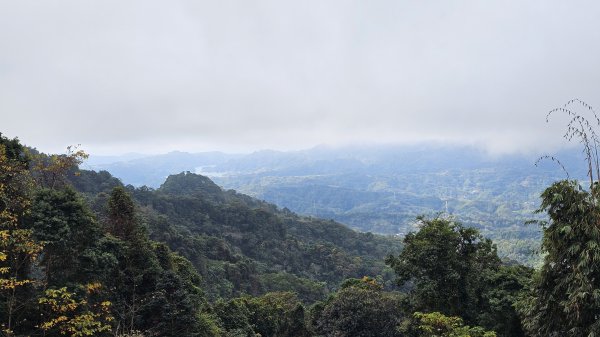 【馬年走馬山，馬到就成功！】🐴馬年馬路要走，馬那邦🏔️也要登！O繞11K，爬升900M，🥾腿在2977199