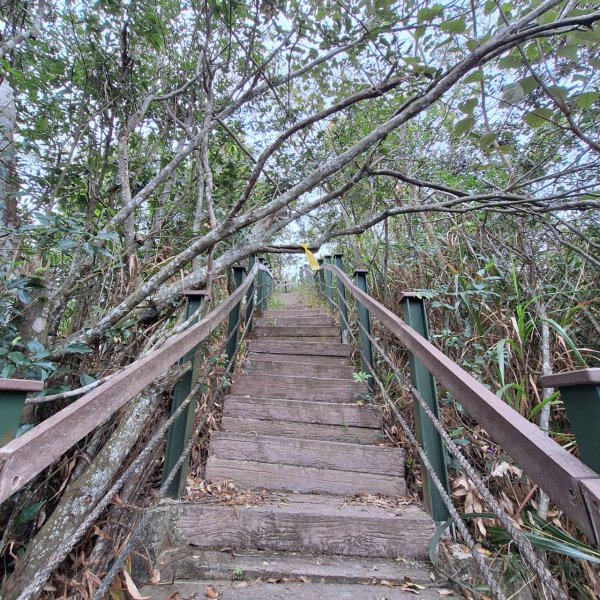 【小百岳52】後尖山完成!2705869