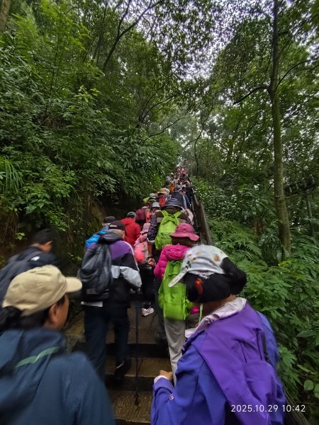 四川樂山大佛景區 (2-1)2939021