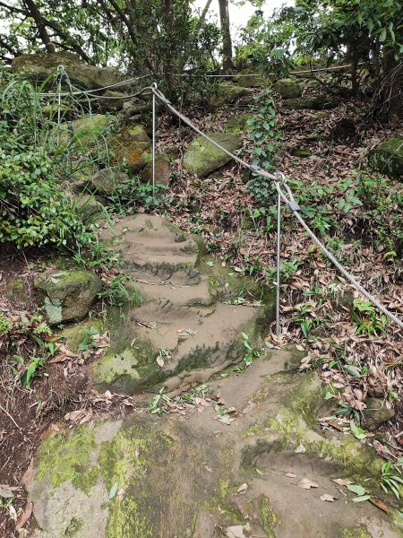 鳶山登山步道2760133