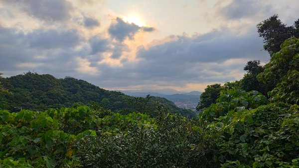 槓子寮山3046484