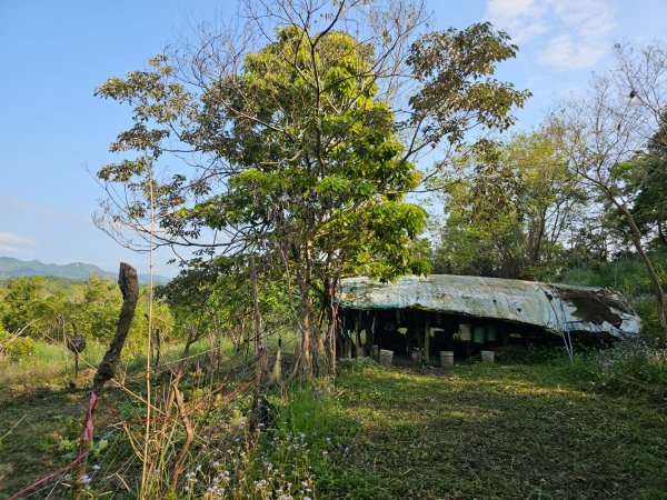 八里灣山-小百岳#91-花蓮縣豐濱鄉3019221