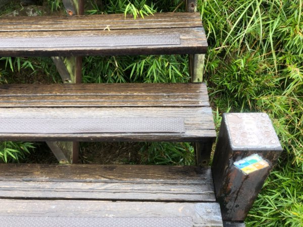 南投縣仁愛鄉 花蓮縣秀林鄉 合歡東峰672520