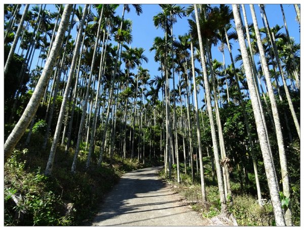 阿拔泉山、觀音石山連走1570779