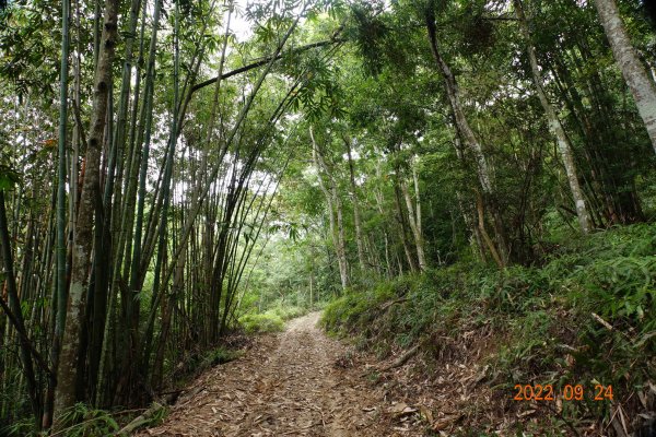 南投 國姓 眉冷山1855246