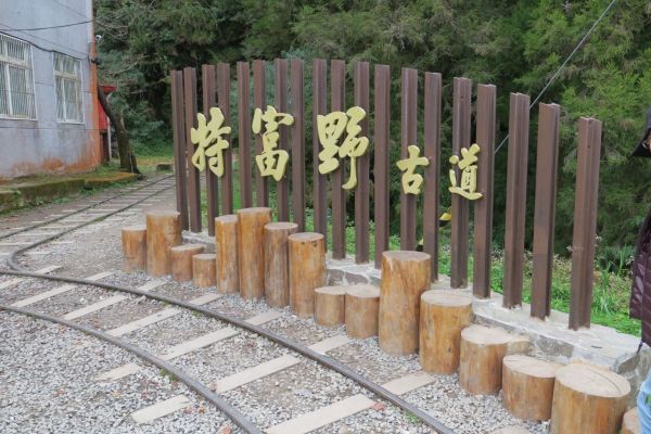 特富野古道234864