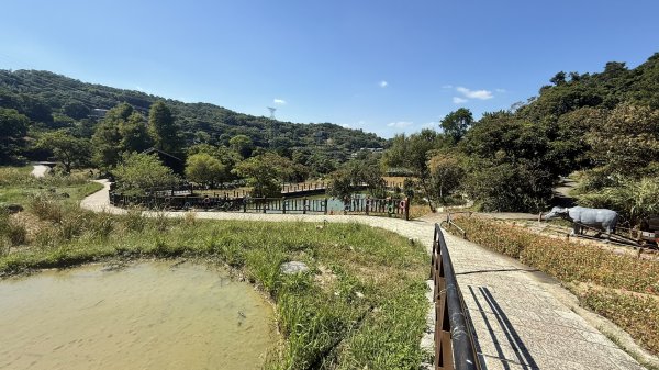 2025/10/15 台北大縱走第7段2916496