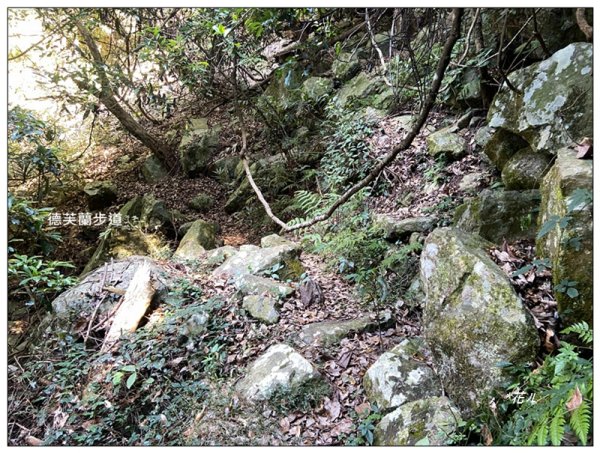 東卯山、東卯山西峰、東卯山西南峰 連走2932832