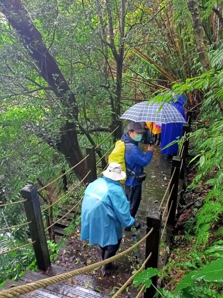 雨中漫步淡水跤頭趺崙步道、楓樹湖步道、天元宮1618534