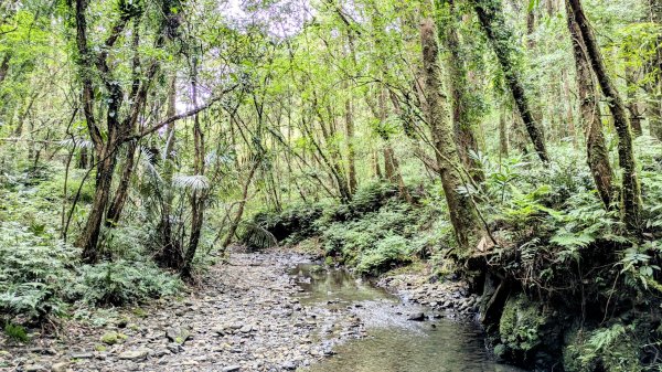 坪溪古道,石空古道2873481