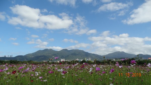 大屯&小觀音主/西&關渡花田補考735928